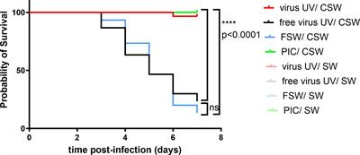 Antiviral protection in the Pacific oyster Crassostrea (Magallana) gigas against OsHV-1 infection using UV-inactivated virus